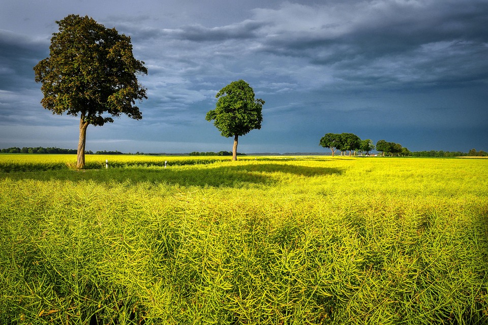 farming and gardening