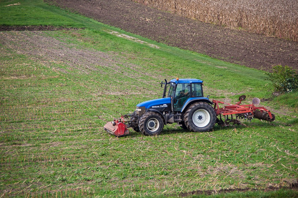 farming and gardening