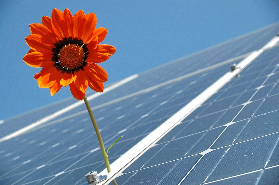 solar panels