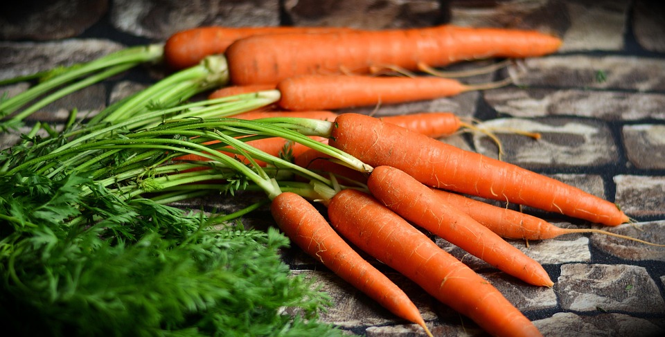 farming and gardening