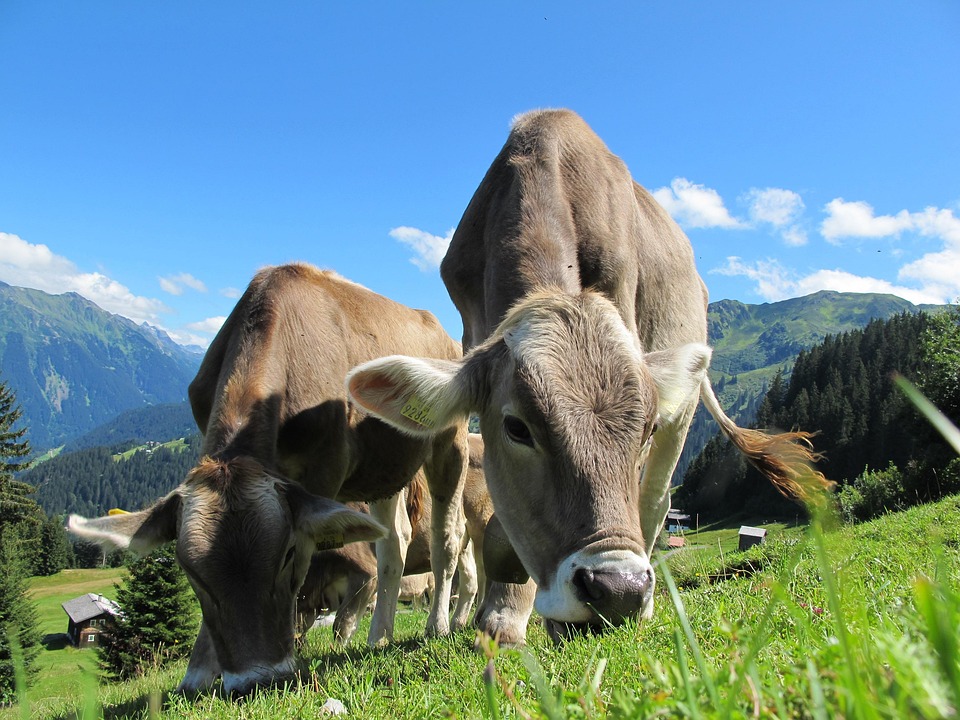farming and gardening
