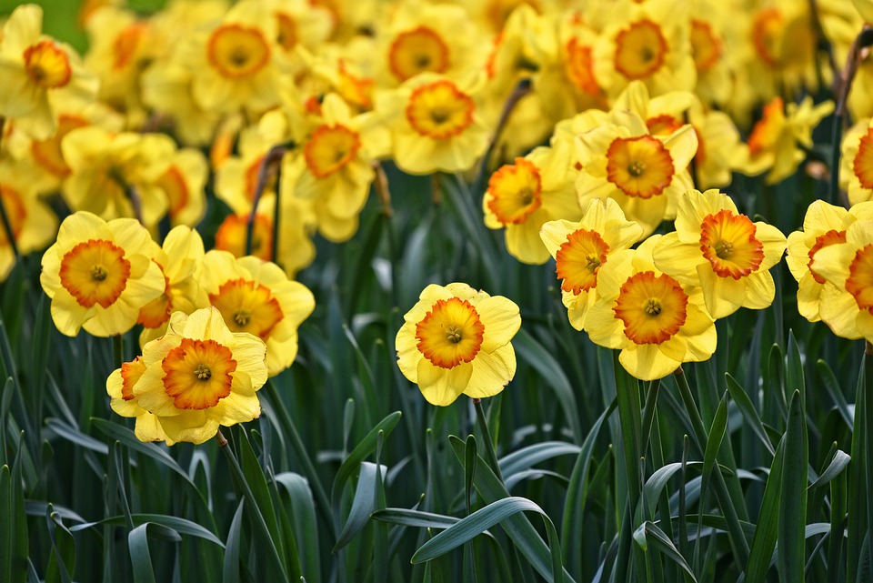 farming and gardening