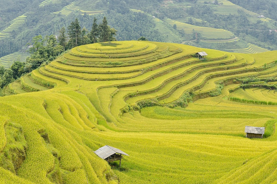 farming and gardening