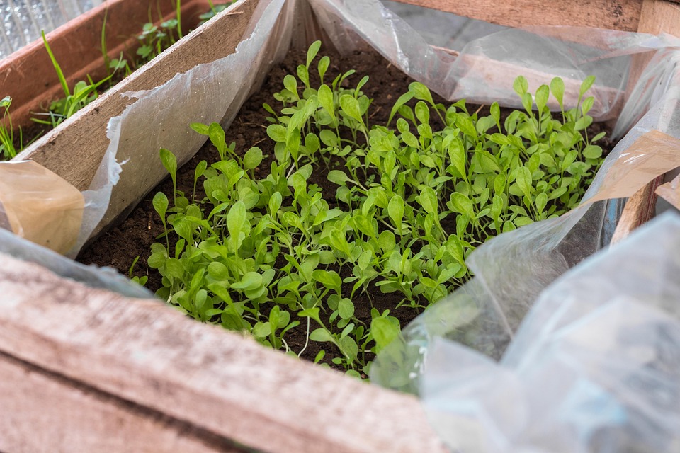 farming and gardening