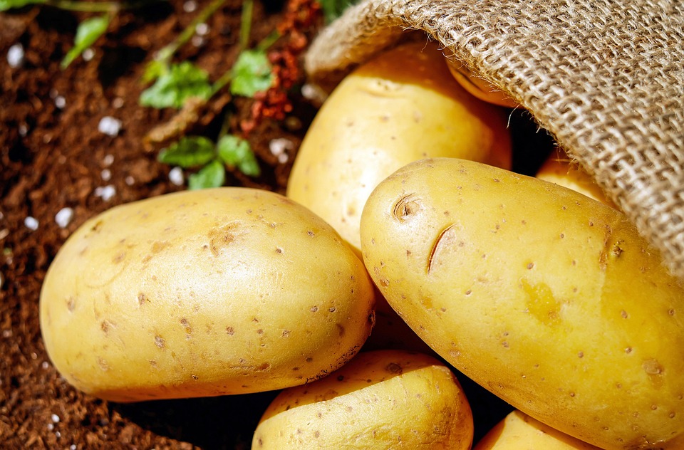 farming and gardening