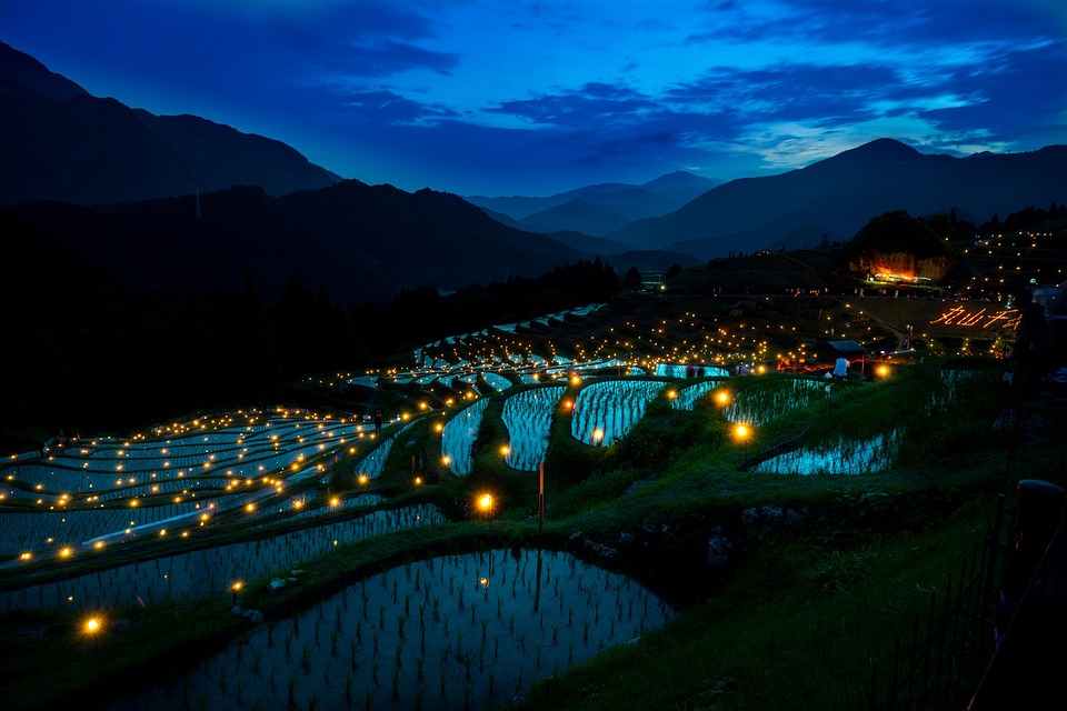 farming and gardening