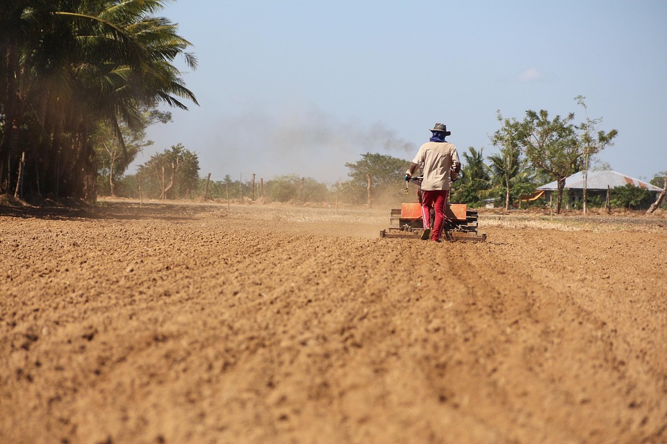 farming and gardening