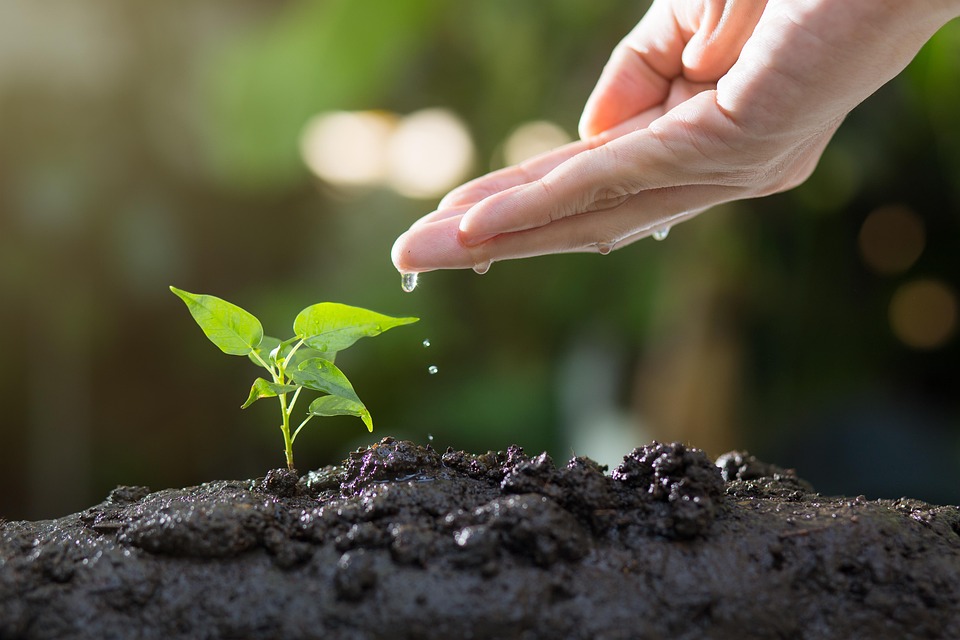 farming and gardening