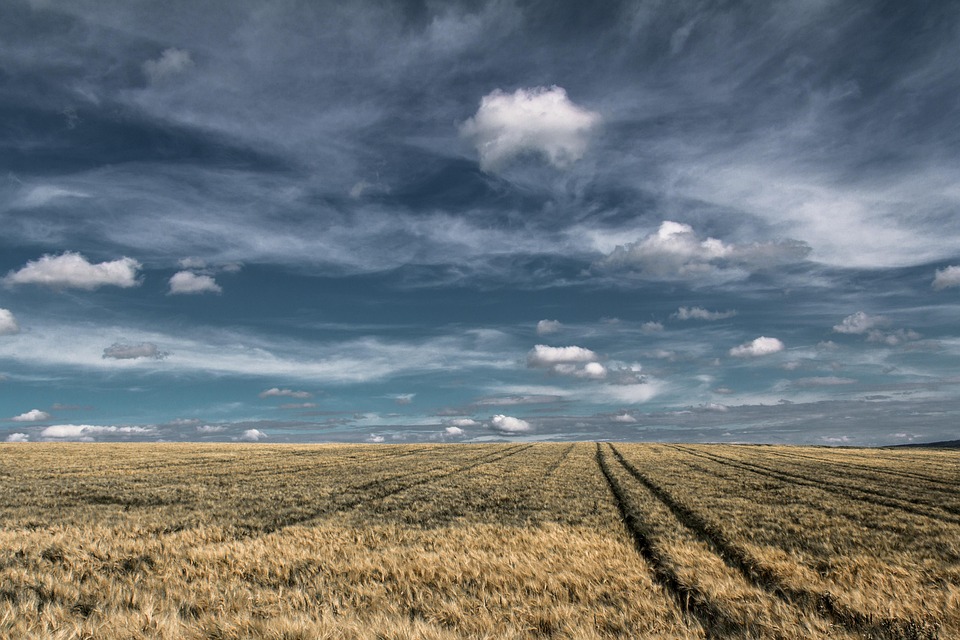 farming and gardening
