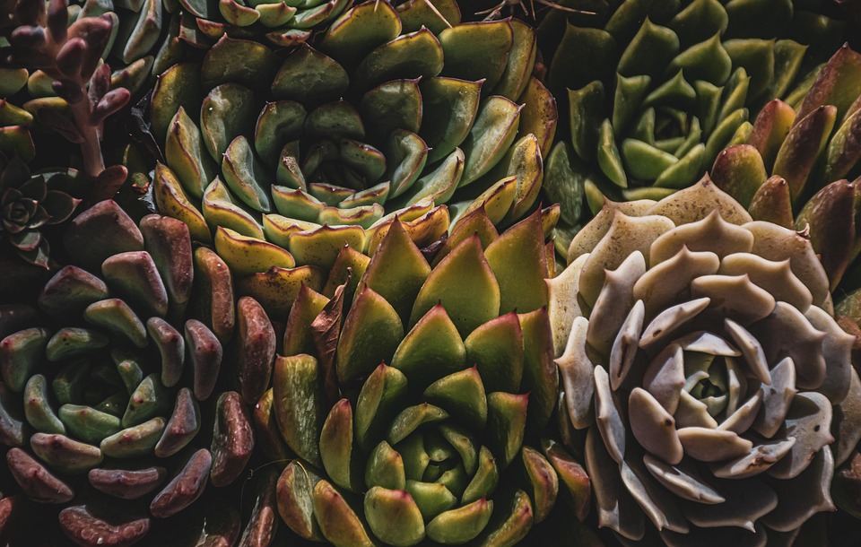 farming and gardening