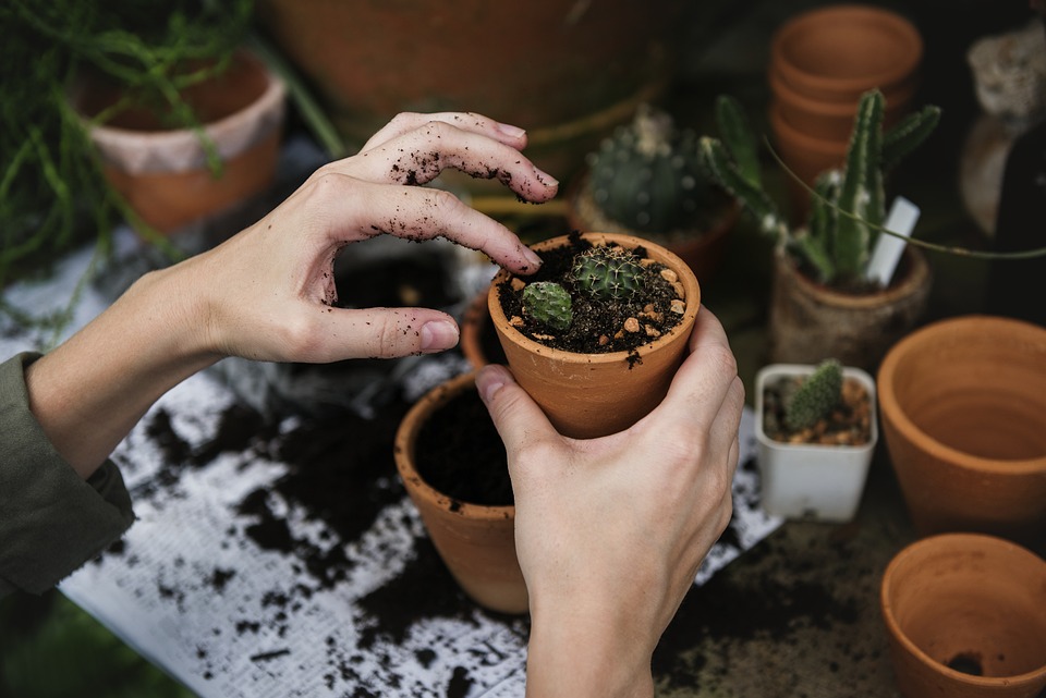 farming and gardening
