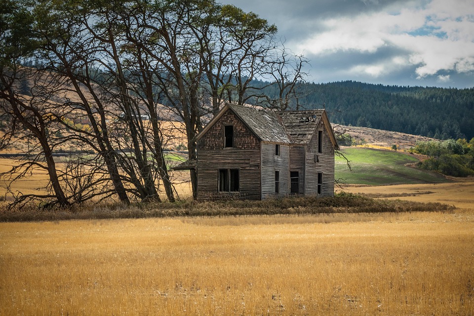 farming and gardening