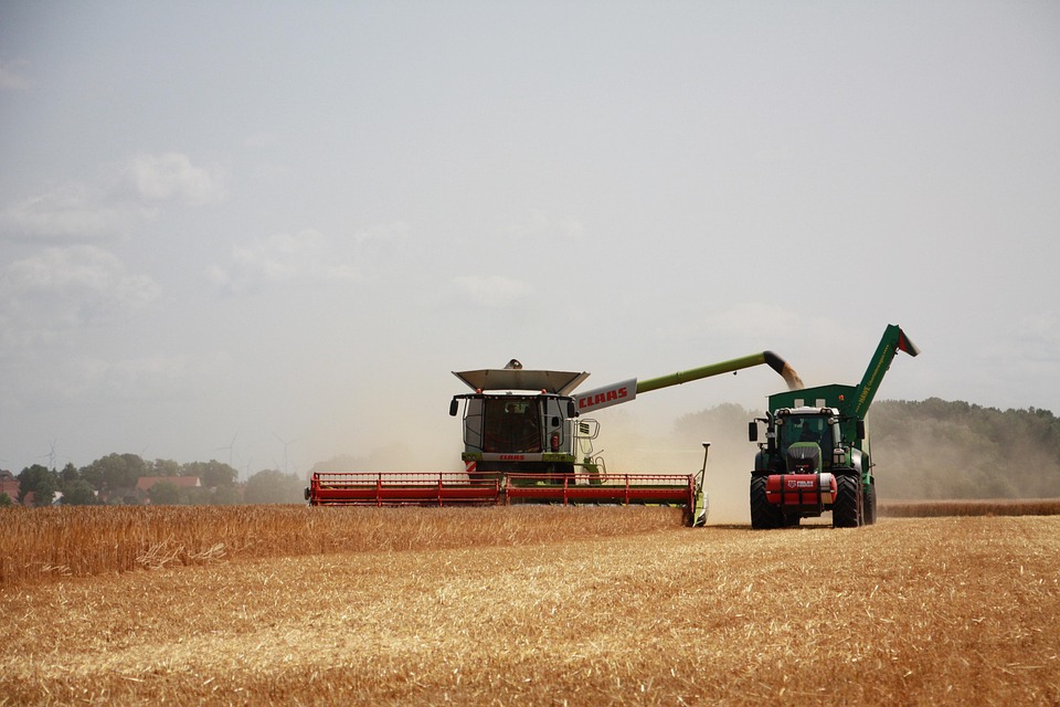 farming and gardening