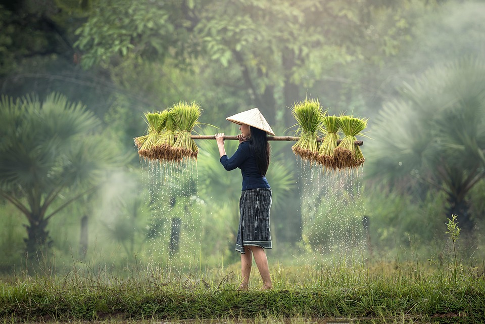 farming and gardening