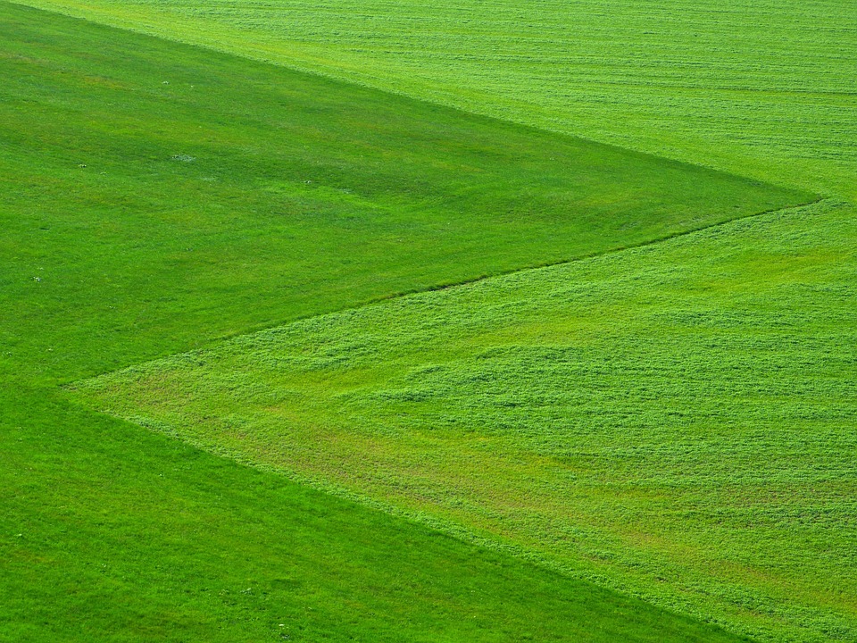 farming and gardening