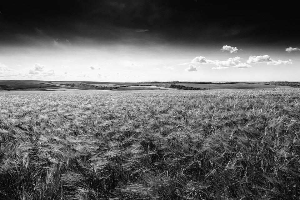 farming and gardening