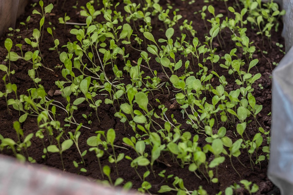 farming and gardening