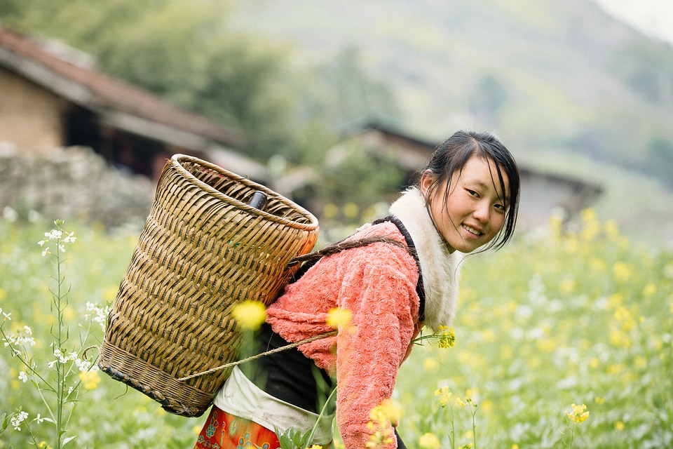 farming and gardening