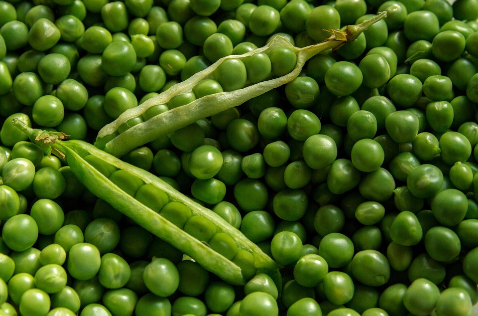 farming and gardening