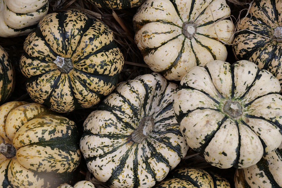 farming and gardening