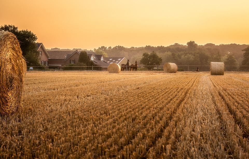 farming and gardening