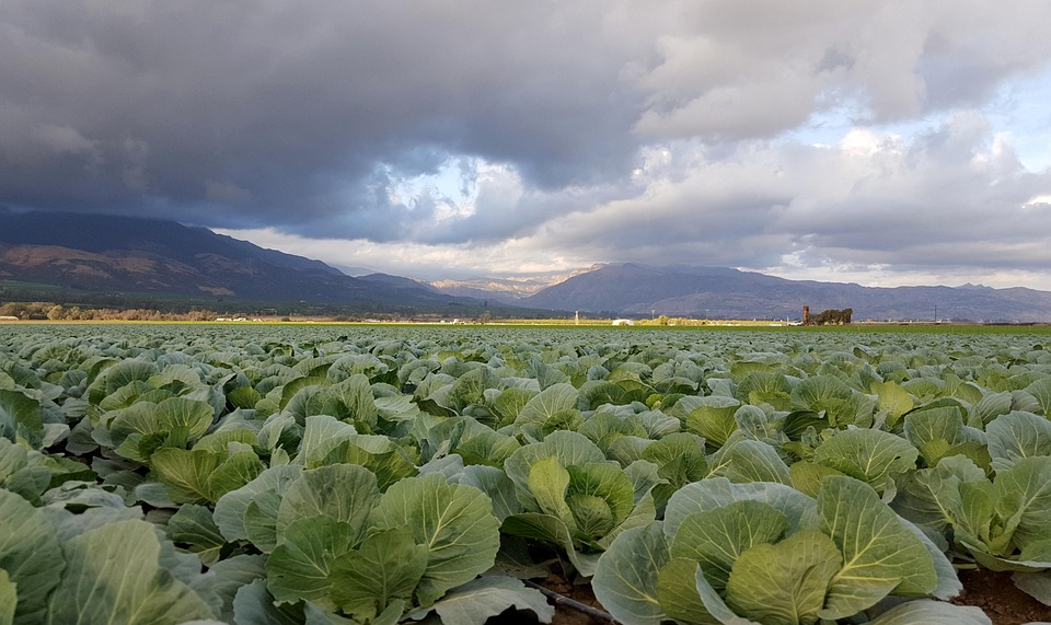 farming and gardening
