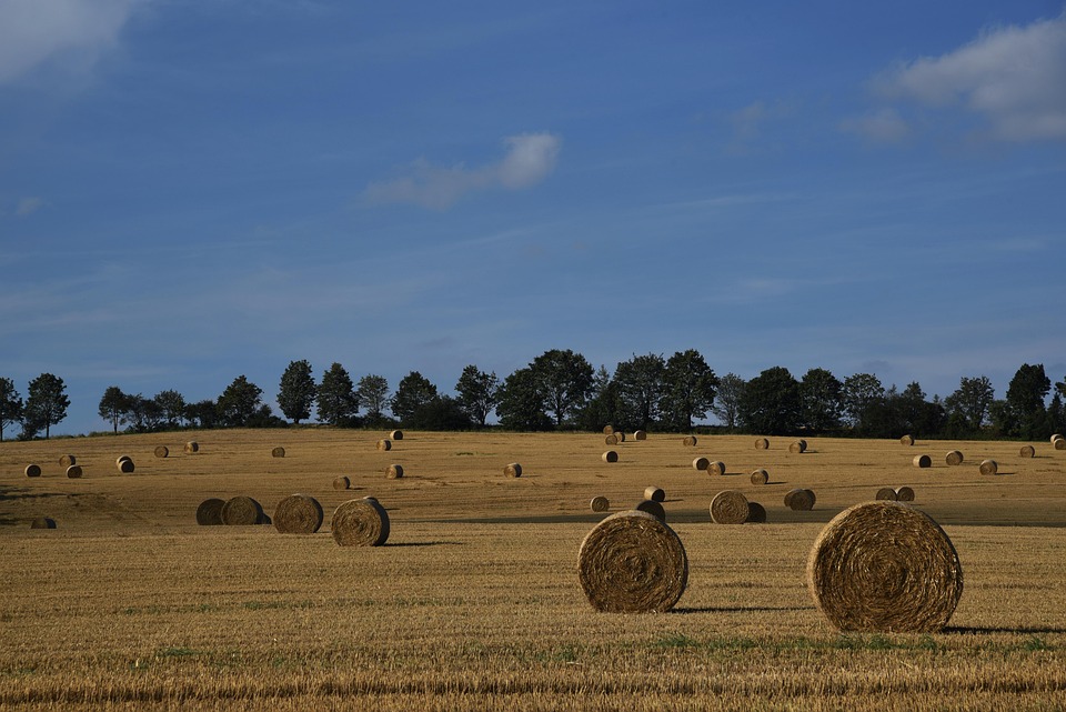 farming and gardening