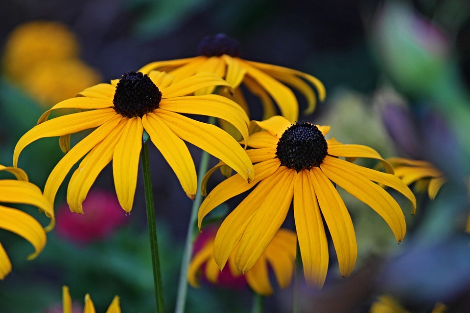 farming and gardening