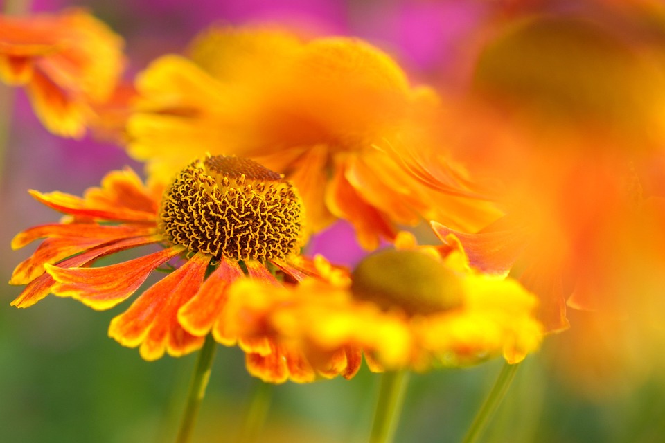farming and gardening