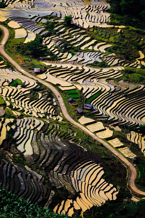 farming and gardening