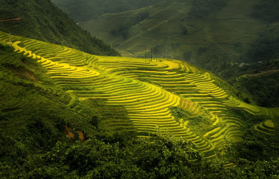 farming and gardening