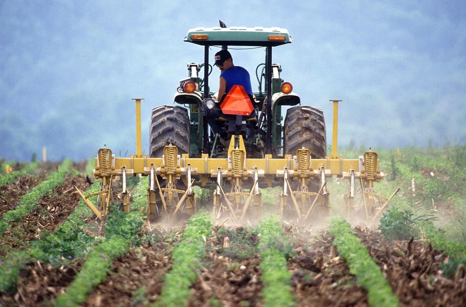 farming and gardening