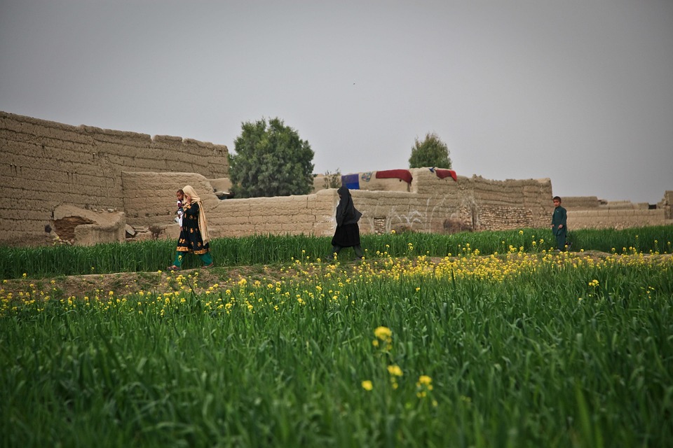 farming and gardening
