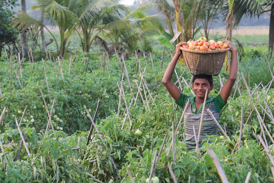 farming and gardening