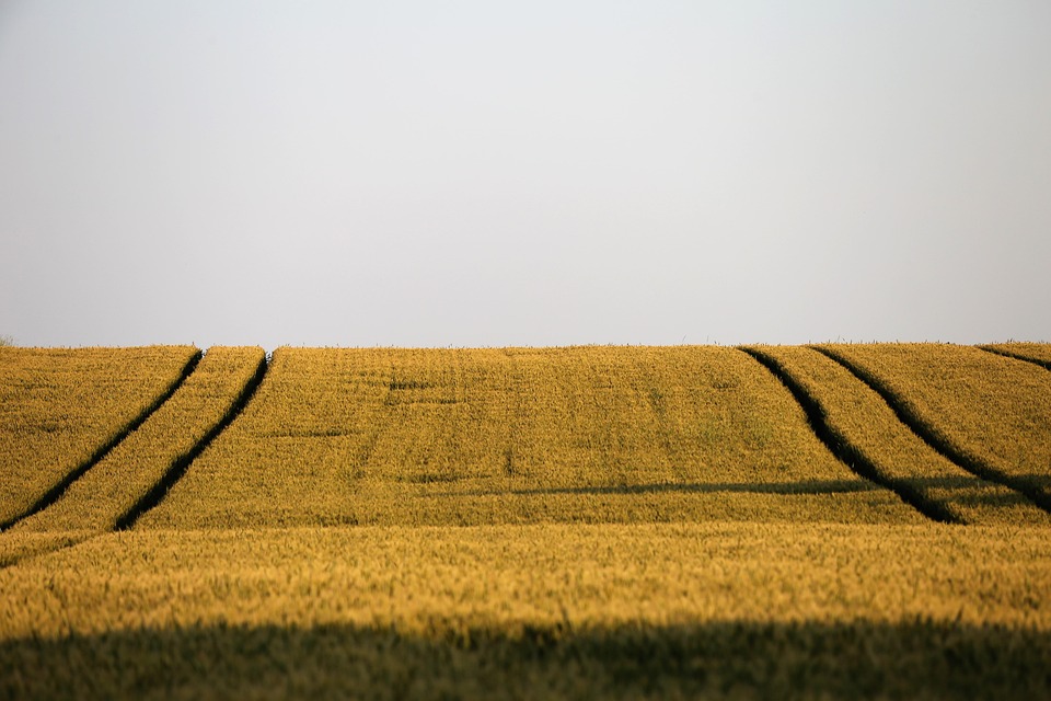farming and gardening
