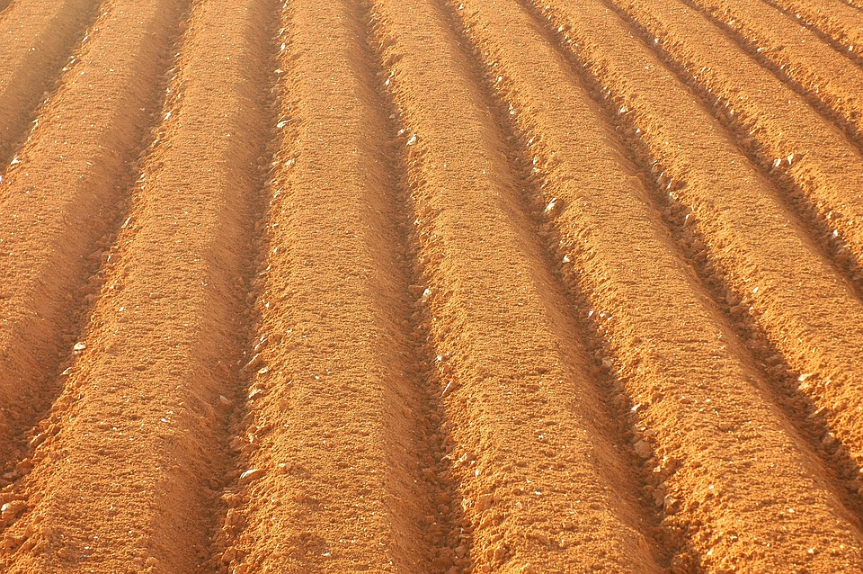 farming and gardening