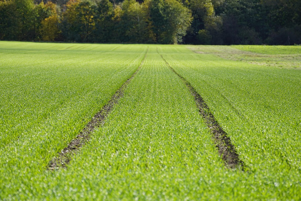 farming and gardening