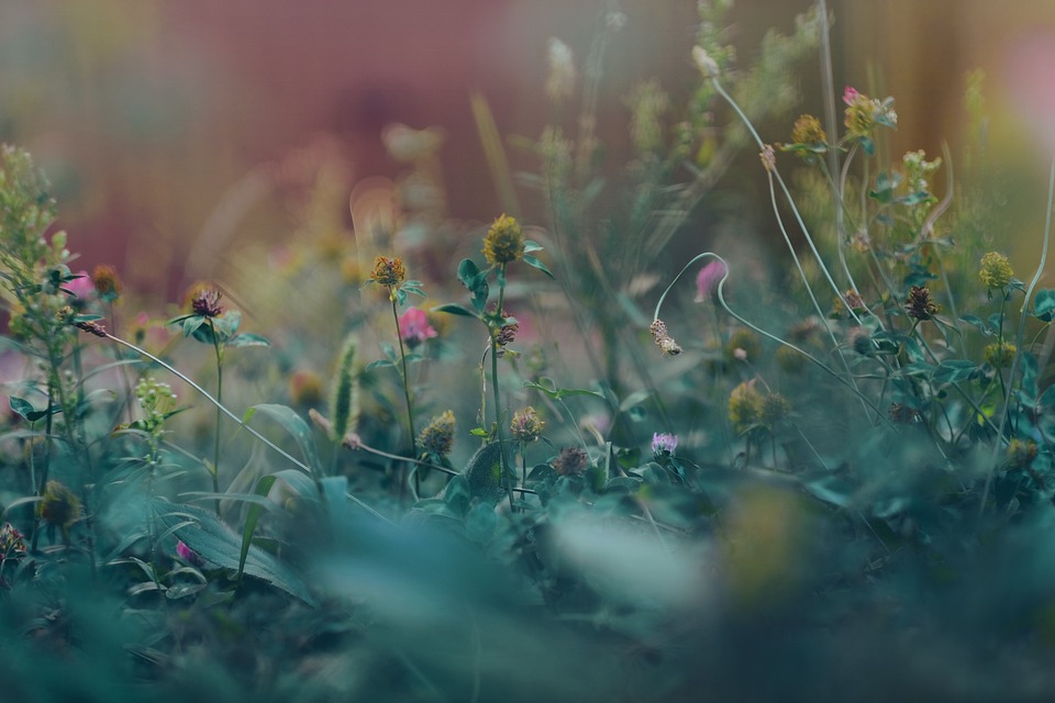 farming and gardening