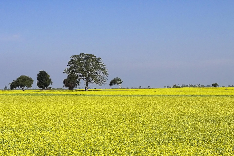farming and gardening