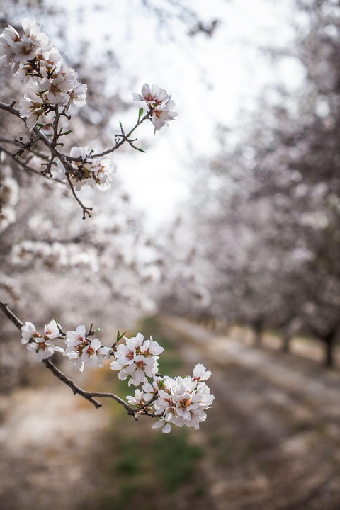 farming and gardening
