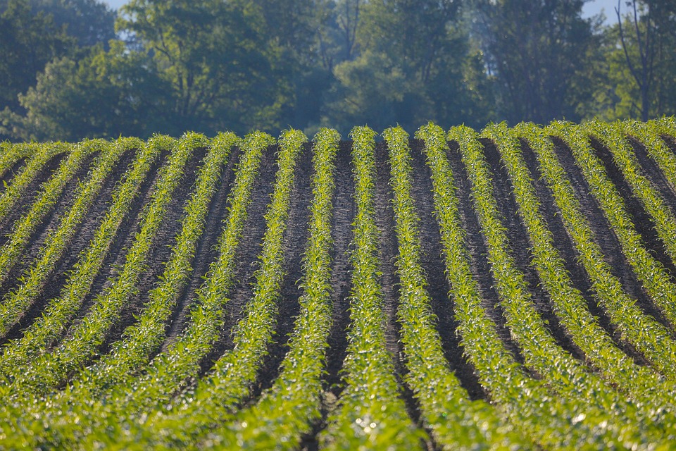 farming and gardening