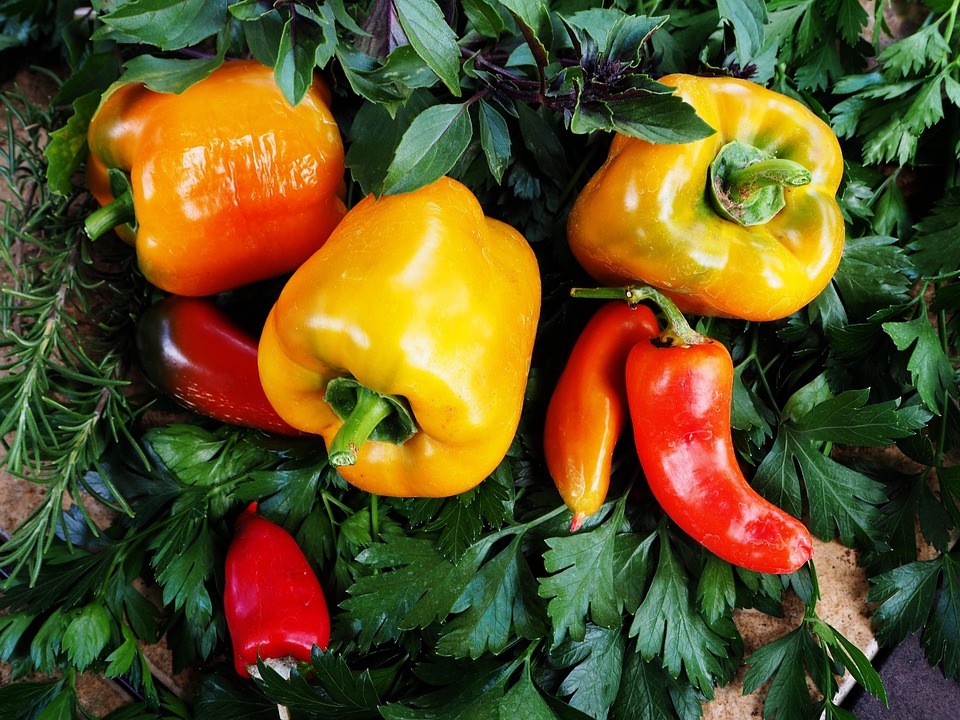 farming and gardening