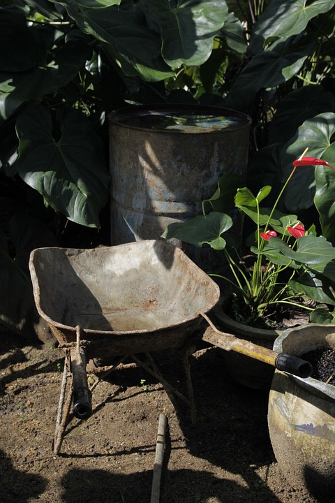 farming and gardening
