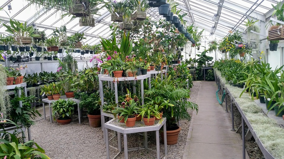 farming and gardening