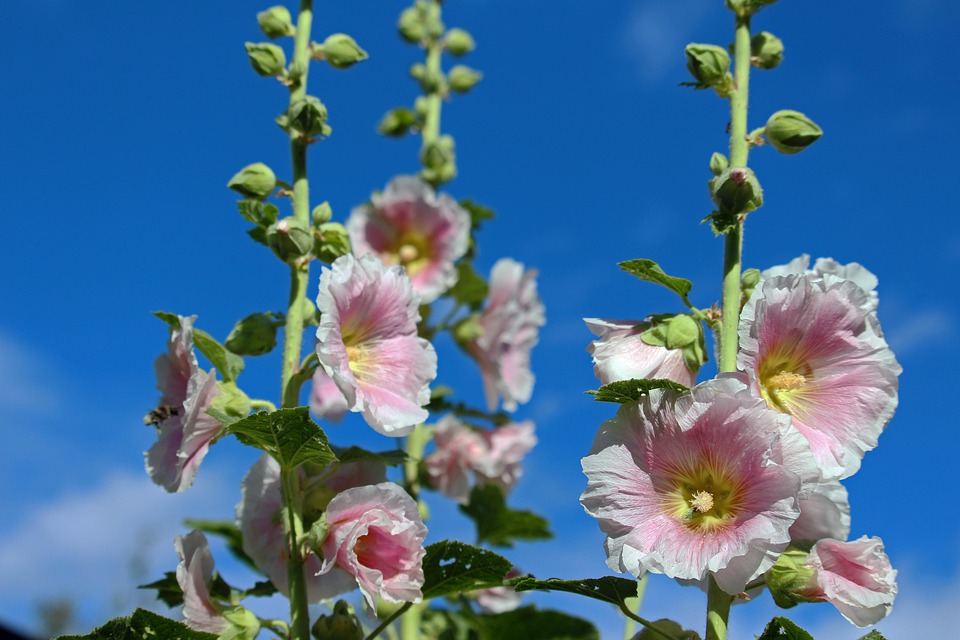 farming and gardening