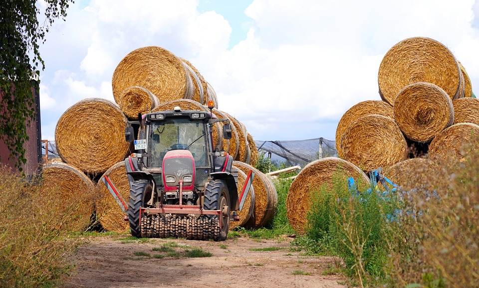 farming and gardening