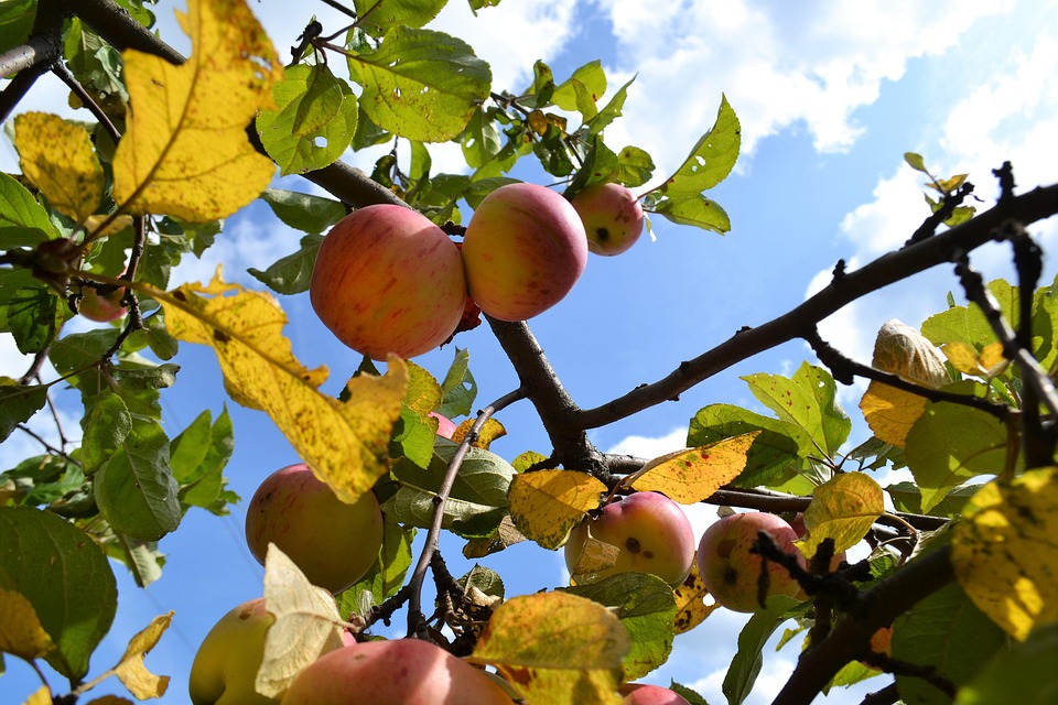 farming and gardening