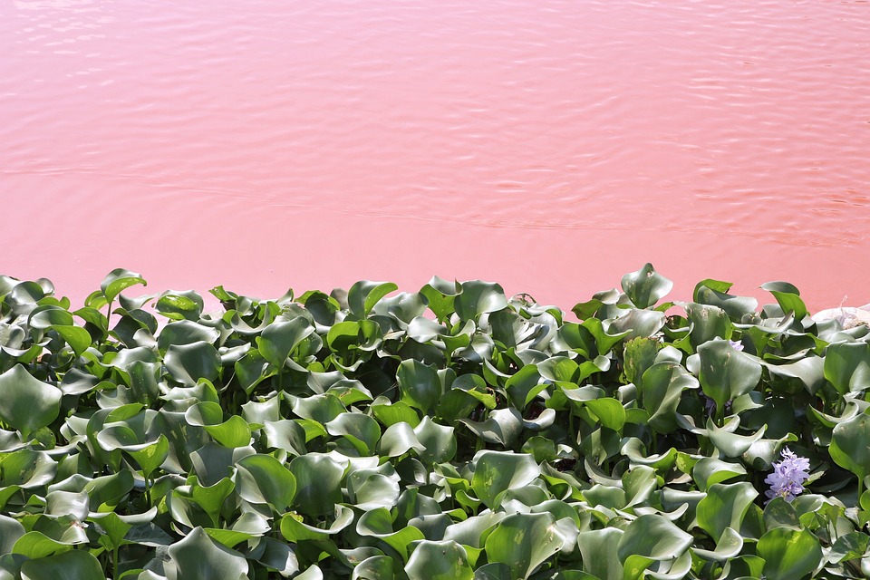 farming and gardening