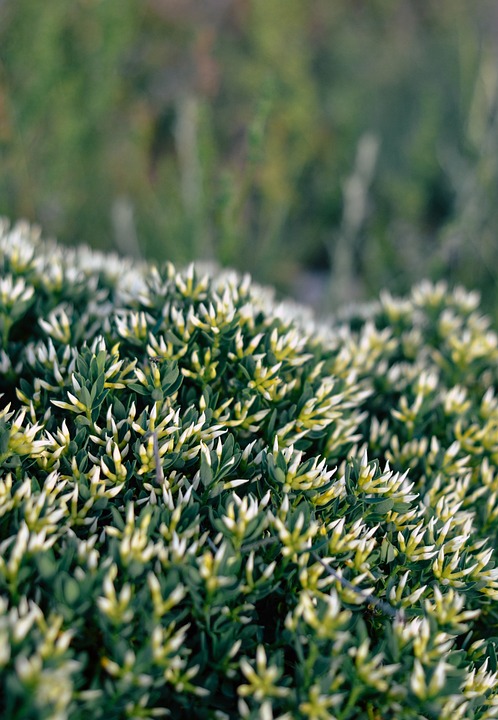farming and gardening