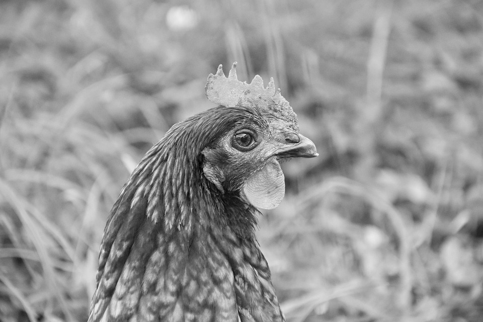 farming and gardening